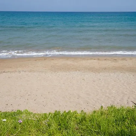 别墅 The Seaside 干尼亞
